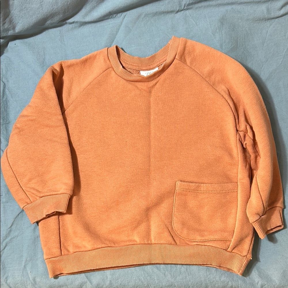 Zara Sweater Size 3T